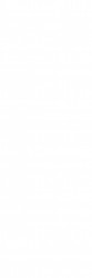кер. плитка royal white wt15rol00 253*750 (delacora)