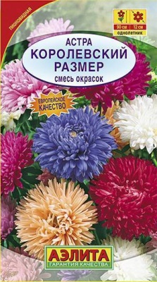 астра королевский размер, смесь сортов (2024)