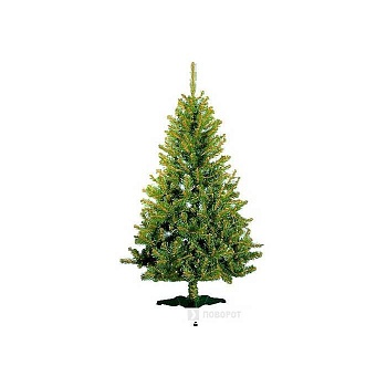 ель комнатная таежная (2,1 м)