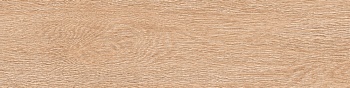  . castagna -. 15*60 156052031 (ntergres)