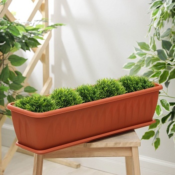 балконный ящик алиция 600мм с поддоном (пал. 300) 10л терракотовый