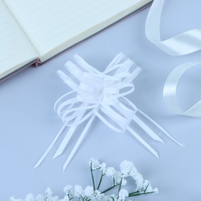 бант-бабочка no2.5, белый