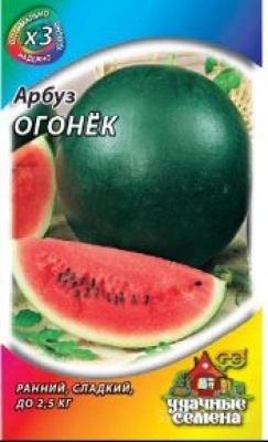 арбуз огонек (2025)