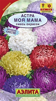 астра моя мама, смесь сортов (2024)